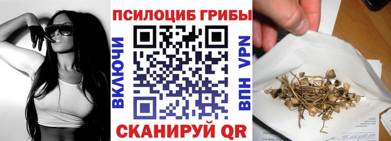 Купить закладки  Котовск  Псилоцибиновые грибы Psilocybine cubensis 